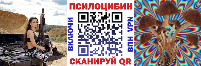Псилоцибиновые грибы Psilocybe  дарк нет как зайти  Нижневартовск 