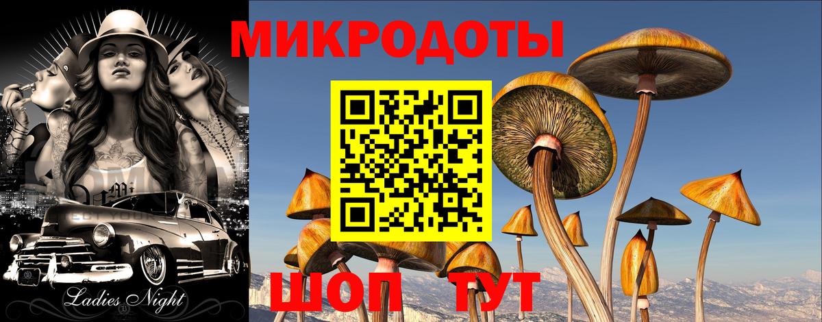 Галлюциногенные грибы MAGIC MUSHROOMS  Вход с VPN  Нижневартовск 